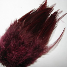 Strong rooster saddle claret